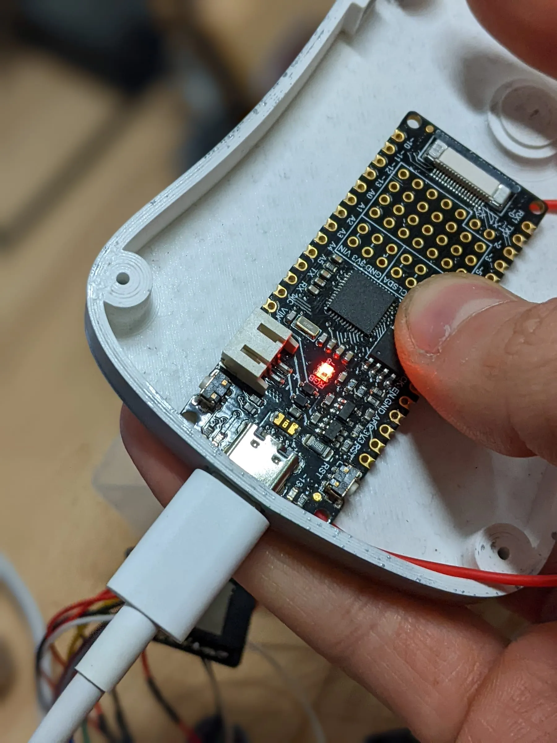 Development board in an early printed shell