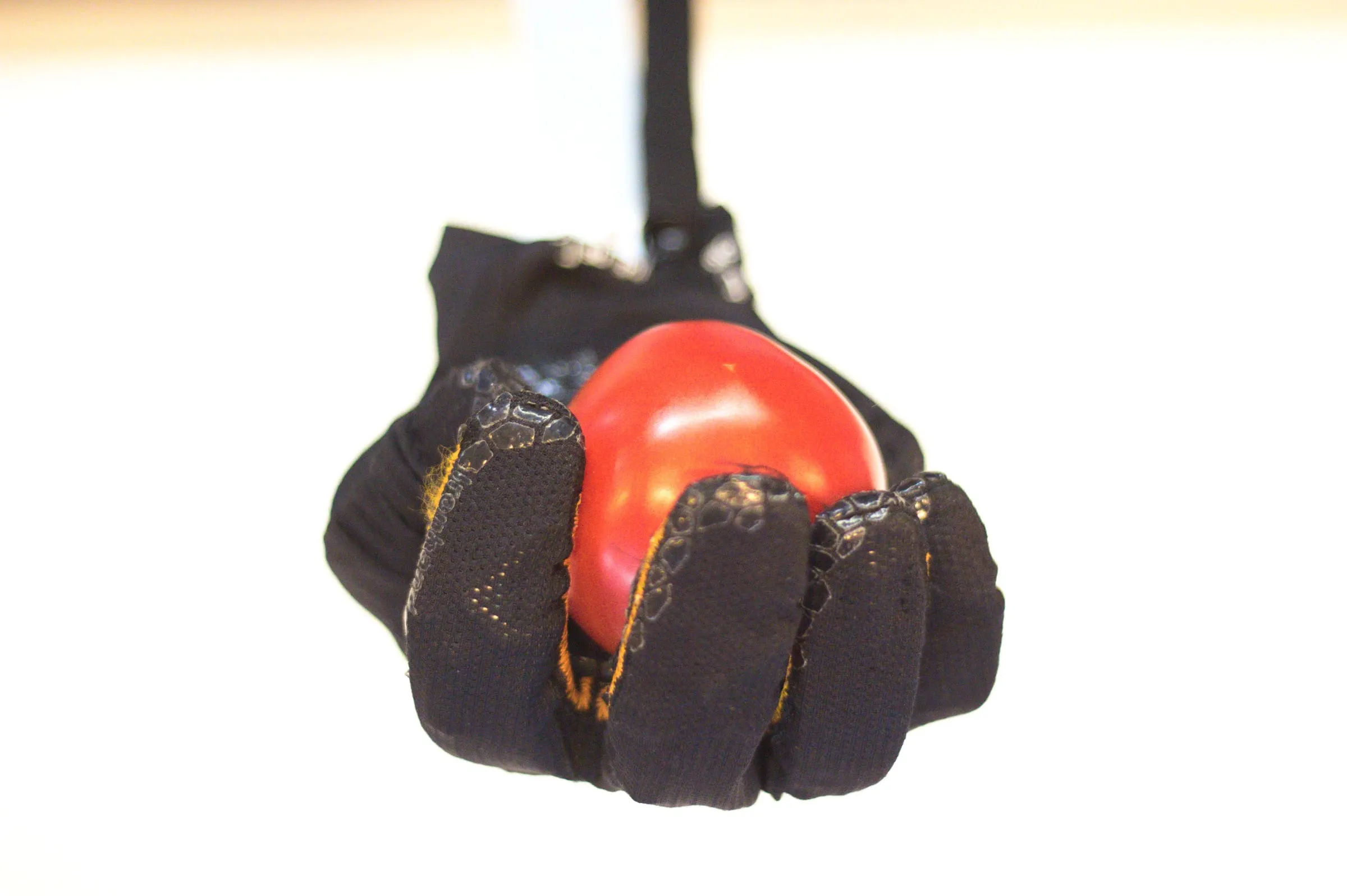 A single ripe tomato, held without pressure marks